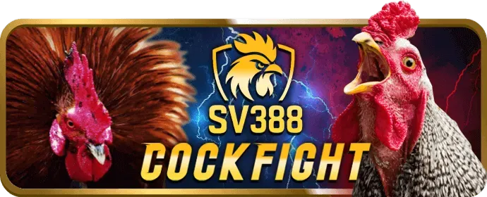Vương Quốc Hải Tặc Slot Game